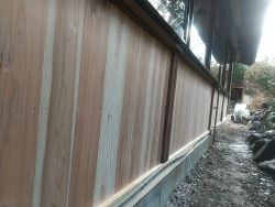 杉（スギ）の腰板壁