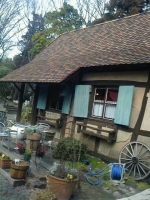 外国の絵本に出てくるような家１