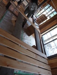 天井に張る杉板に柿渋を塗る