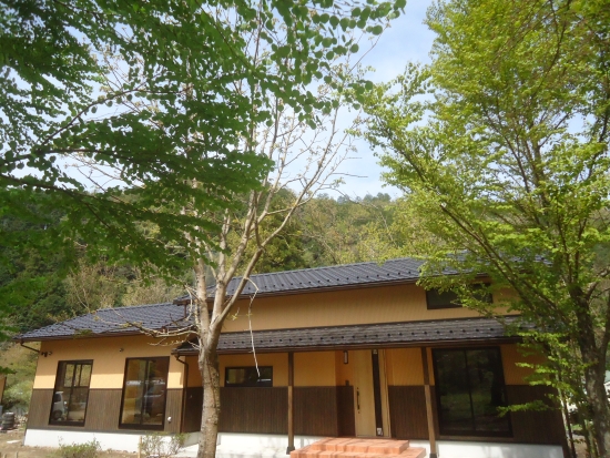 森の中に佇む１．５階建ての家