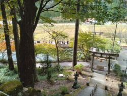 名もなき池（モネの池）